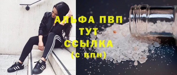 винт Надым