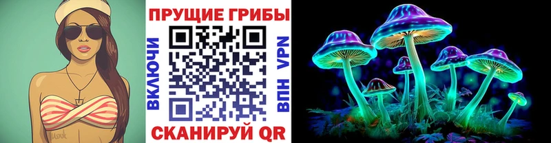 купить   Волжский  Галлюциногенные грибы Psilocybe 