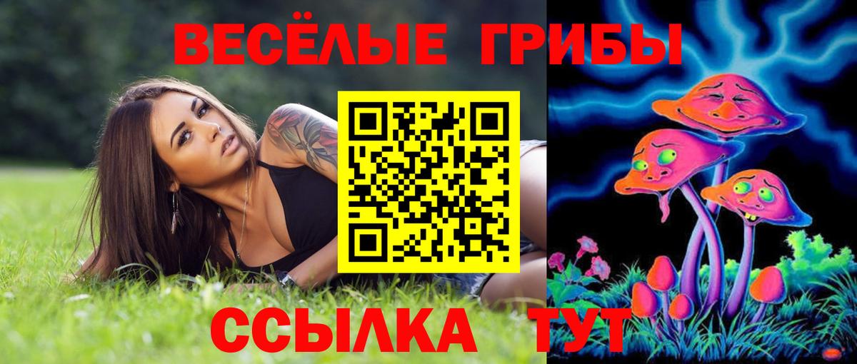 Галлюциногенные грибы GOLDEN TEACHER  Вход с VPN  Псилоцибиновые грибы ЛСД  Волжский 